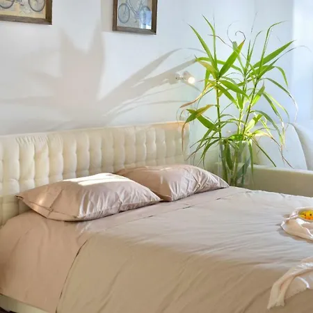 Master 13 Bedrooms Villa